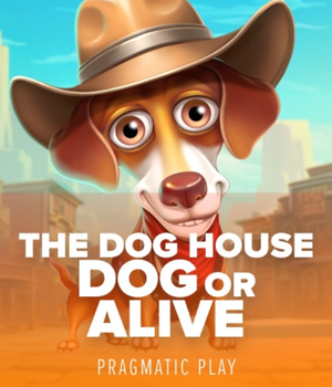 The Dog House Dog or Alive